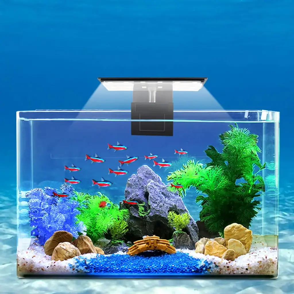 Iluminación LED para acuario