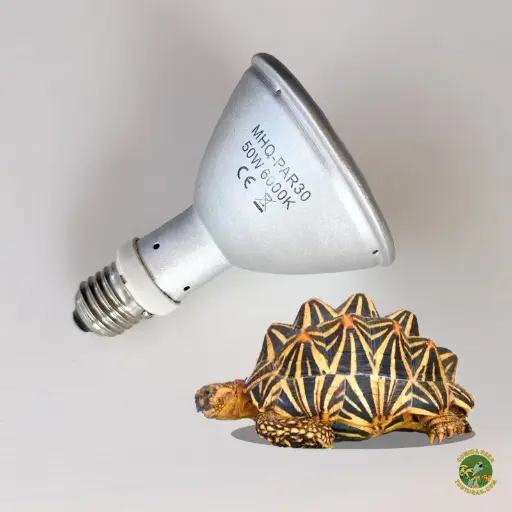 Bombillas 35W HID UVB para tortugas