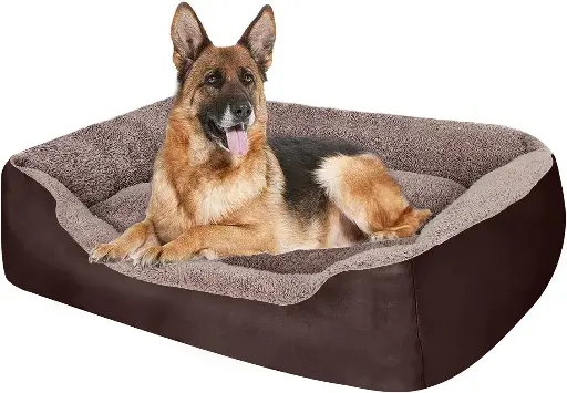 Cama para perros